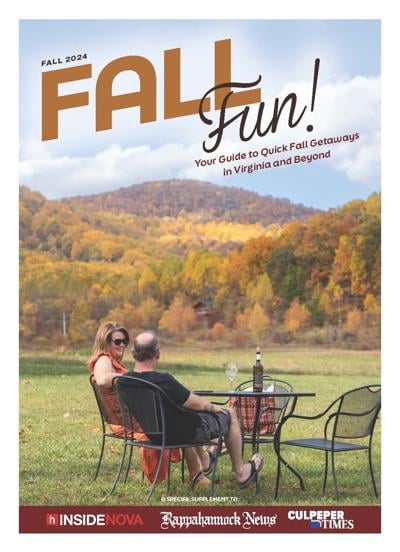 Fall Fun Cover